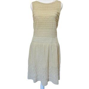 Ralph Lauren Smocked Slip Dress Women's M Sleeveless Shimmery Knit